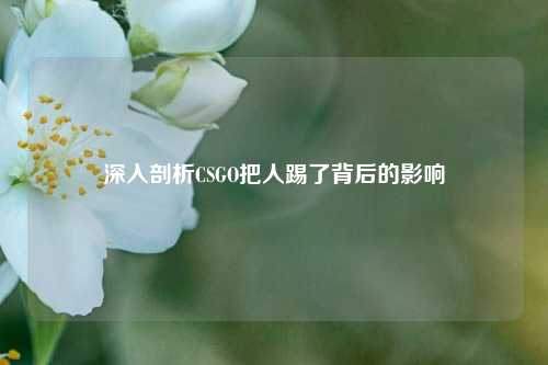 深入剖析CSGO把人踢了背后的影响