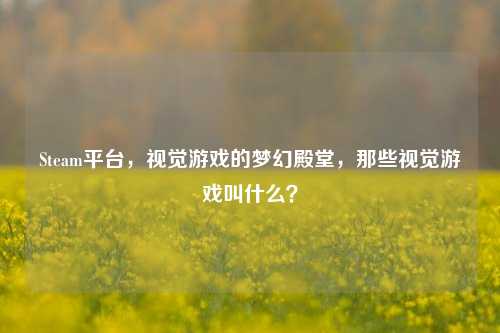 Steam平台，视觉游戏的梦幻殿堂，那些视觉游戏叫什么？