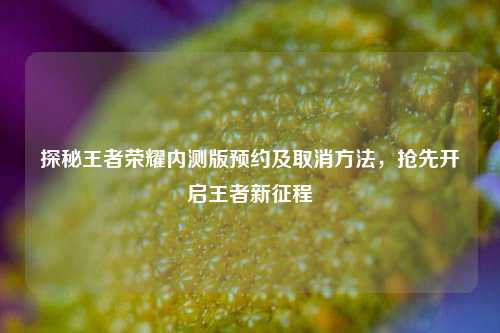 探秘王者荣耀内测版预约及取消方法，抢先开启王者新征程