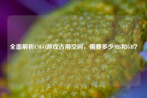 全面解析CSGO游戏占用空间,需要多少MB和GB?