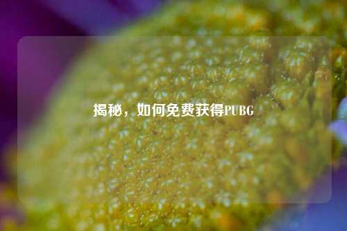 揭秘，如何免费获得PUBG