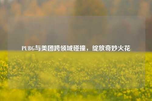 PUBG与美团跨领域碰撞,绽放奇妙火花