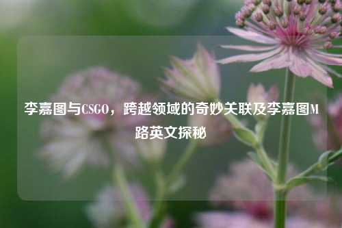 李嘉图与CSGO，跨越领域的奇妙关联及李嘉图M路英文探秘