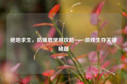 绝地求生，防爆盾使用攻略——游戏生存关键秘籍