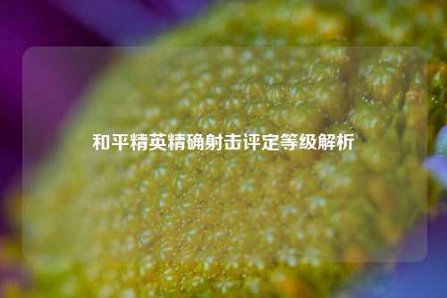 和平精英精确射击评定等级解析