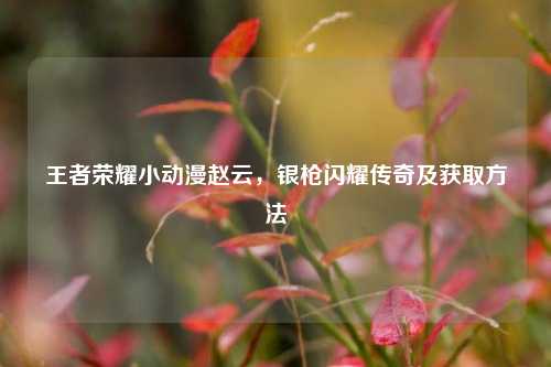 王者荣耀小动漫赵云,银枪闪耀传奇及获取方法