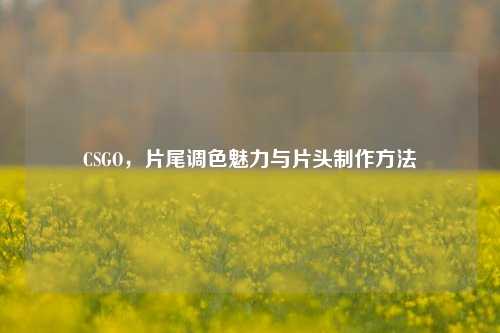 CSGO，片尾调色魅力与片头制作方法