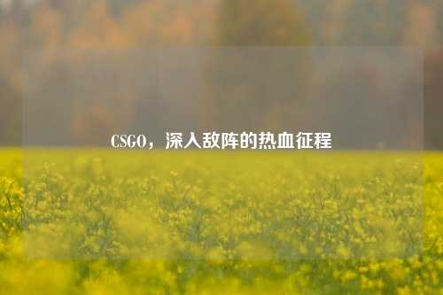 CSGO,深入敌阵的热血征程