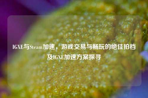 IGXE与Steam加速，游戏交易与畅玩的绝佳拍档及IGXE加速方案探寻