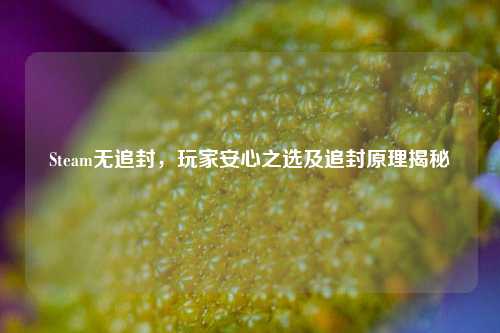 Steam无追封，玩家安心之选及追封原理揭秘