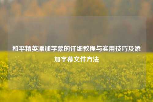 和平精英添加字幕的详细教程与实用技巧及添加字幕文件方法
