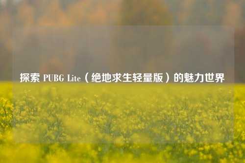 探索 PUBG Lite（绝地求生轻量版）的魅力世界