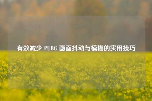 有效减少 PUBG 画面抖动与模糊的实用技巧