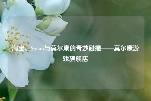 淘宝、Steam与莫尔康的奇妙碰撞——莫尔康游戏旗舰店
