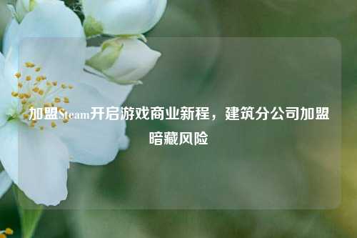 加盟Steam开启游戏商业新程,建筑分公司加盟暗藏风险