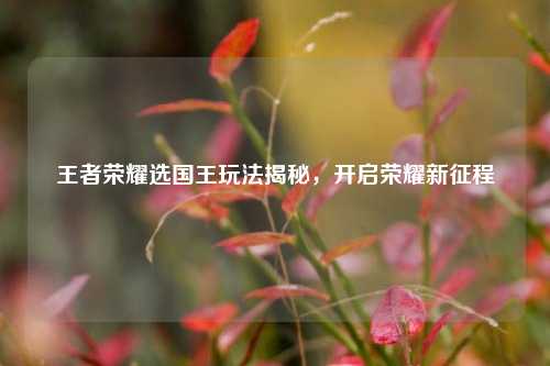 王者荣耀选国王玩法揭秘，开启荣耀新征程