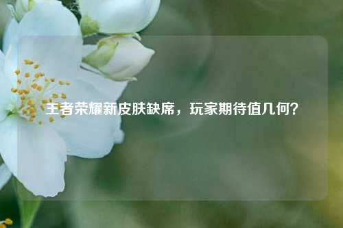 王者荣耀新皮肤缺席,玩家期待值几何?