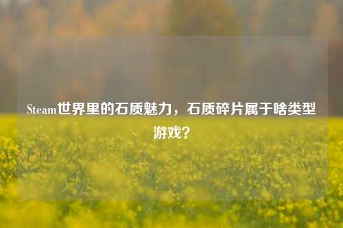 Steam世界里的石质魅力，石质碎片属于啥类型游戏？