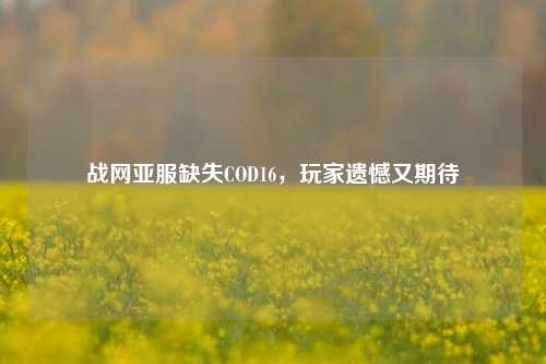 战网亚服缺失COD16，玩家遗憾又期待