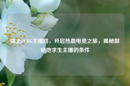踏上PUBG主播路,开启热血电竞之旅,揭秘做绝地求生主播的条件
