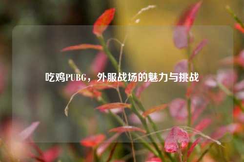 吃鸡PUBG,外服战场的魅力与挑战