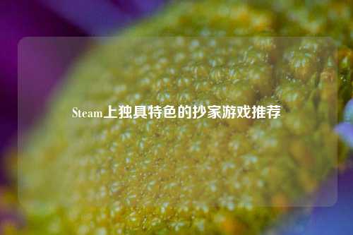 Steam上独具特色的抄家游戏推荐