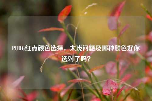 PUBG红点颜色选择,太浅问题及哪种颜色好你选对了吗?