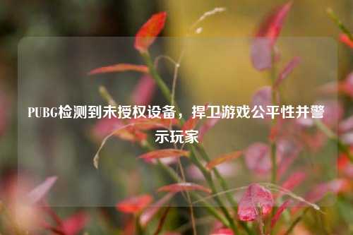 PUBG检测到未授权设备,捍卫游戏公平性并警示玩家