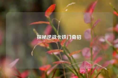 探秘逆战卡铁门奇招