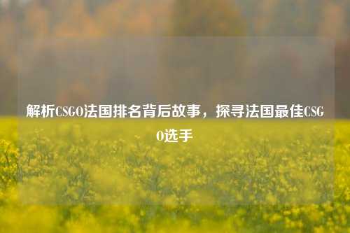 解析CSGO法国排名背后故事,探寻法国最佳CSGO选手
