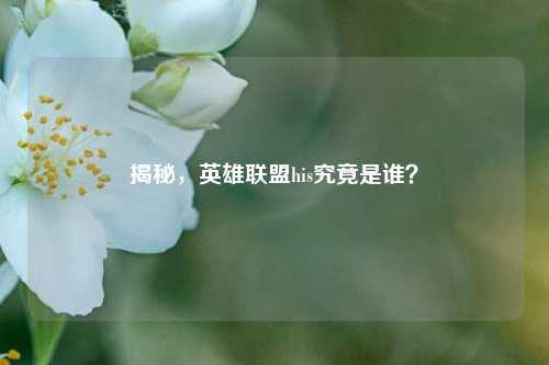 揭秘,英雄联盟his究竟是谁?