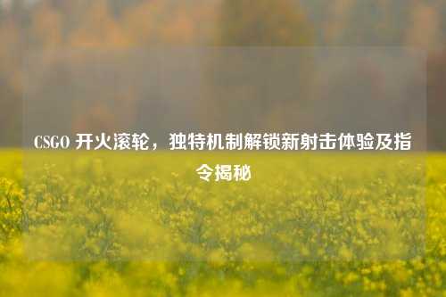 CSGO 开火滚轮,独特机制解锁新射击体验及指令揭秘