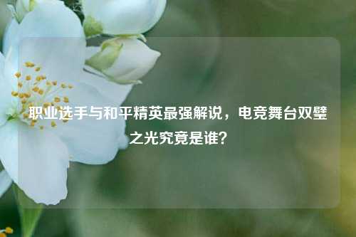 职业选手与和平精英最强解说,电竞舞台双璧之光究竟是谁?