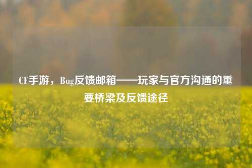 CF手游，Bug反馈邮箱——玩家与官方沟通的重要桥梁及反馈途径