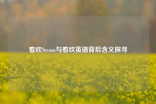 看吹Steam与看吹英语背后含义探寻