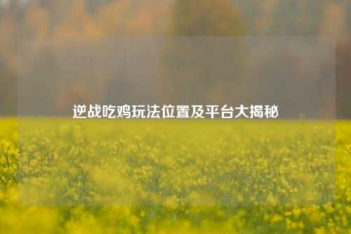 逆战吃鸡玩法位置及平台大揭秘