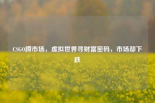 CSGO蹲市场，虚拟世界寻财富密码，市场却下跌