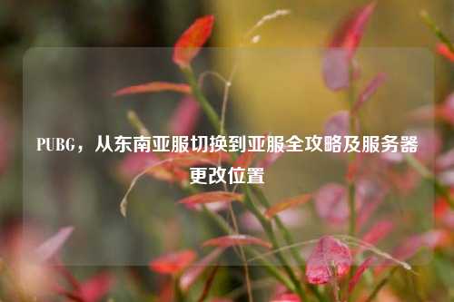 PUBG,从东南亚服切换到亚服全攻略及服务器更改位置