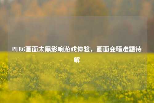 PUBG画面太黑影响游戏体验，画面变暗难题待解