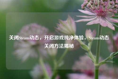 关闭Steam动态,开启游戏纯净体验,Steam动态关闭方法揭秘