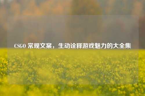 CSGO 常规文案,生动诠释游戏魅力的大全集
