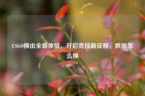 CSGO换出全新体验,开启竞技新征程,教你怎么换