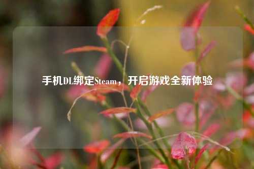 手机DL绑定Steam,开启游戏全新体验