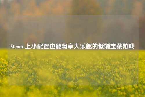 Steam 上小配置也能畅享大乐趣的低端宝藏游戏