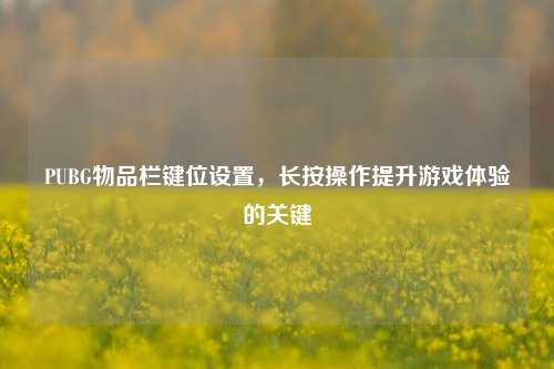 PUBG物品栏键位设置,长按操作提升游戏体验的关键