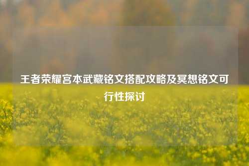 王者荣耀宫本武藏铭文搭配攻略及冥想铭文可行性探讨