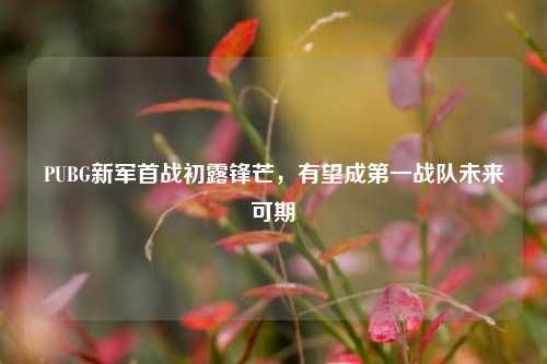 PUBG新军首战初露锋芒,有望成第一战队未来可期