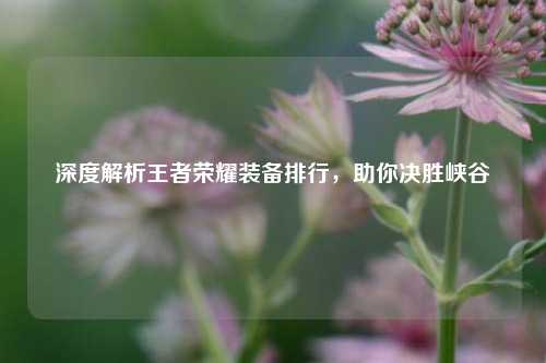 深度解析王者荣耀装备排行,助你决胜峡谷