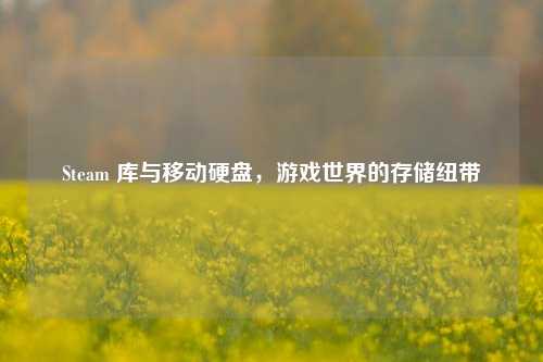 Steam 库与移动硬盘,游戏世界的存储纽带