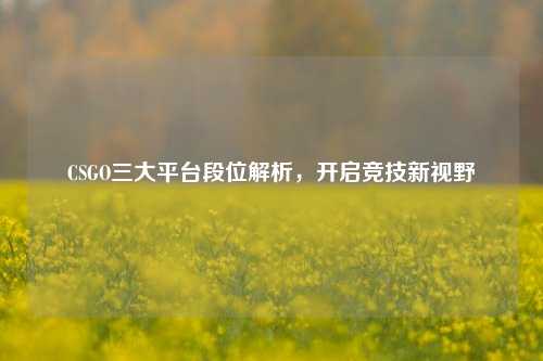 CSGO三大平台段位解析,开启竞技新视野